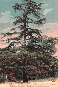 R464168 7 Parc du Chateau de La Malmaison Le Cedre de lImperatrice Josephine Mal - Bild 1 von 4