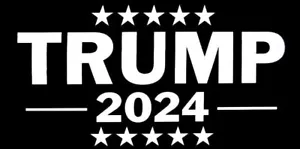 Donald Trump 2024 Election USA Self-Adhesive Stickers - 20 Pack - Picture 1 of 2