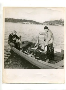 Vintage Press Photo SHAD FISHING IN SKYSCRAPER CITY Fishermen Nets Fish - Picture 1 of 2