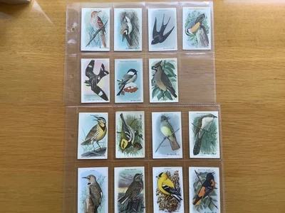 Cigarette  Trade cards  USA CHURCH & DWIGHT USEFUL BIRDS OF AMERICA 15 - Image 1 of 4