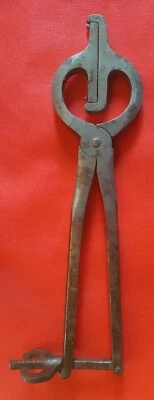 Grande pince De Vétérinaire Fin 19 Ème Ferras Toulouse  - Photo 1/4