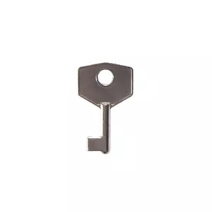 BDS Window Restrictor Replacement Key - FREE POST - Picture 1 of 7