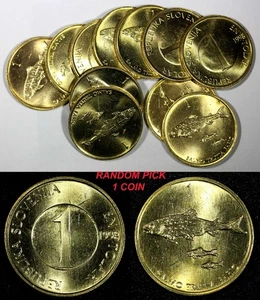 Slovenia 1998 1 trota tolare con due piccoli UNC-BU KM# 4 SCELTA CASUALE (1 moneta) - Foto 1 di 5