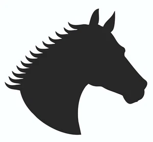 Cabeza de caballo III de acero 3mm 10cm-40cm, la decoración especial para amantes de los caballos - Imagen 1 de 1