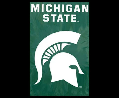 MICHIGAN STATE SPARTANS Official NCAA Team Logo Dynamic Applique WALL BANNER Cover