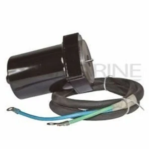 Yamaha F350 Power Trim Tilt Motor 2Wire 2Bolt 6AW-43880-01-00 API Marine PT618NM - Picture 1 of 3