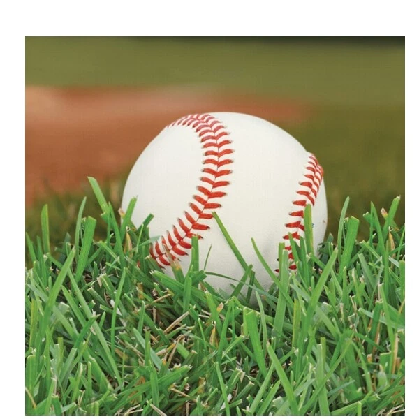 Baseball Party Supplies Small Napkins - Image 1 of 1