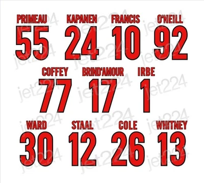 Carolina Hurricanes PEGATINA CALCOMANÍA 2000 década estrellas Francis Coffey Irbe Foto 1 de 4