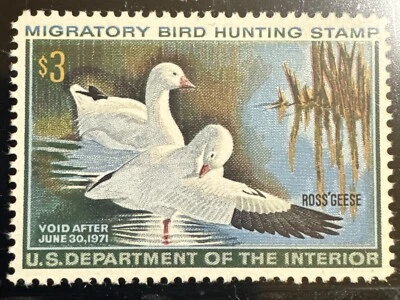 RW37 MNH Duck Stamp 2024 PSE Graded 90 XF - Image 1 of 2