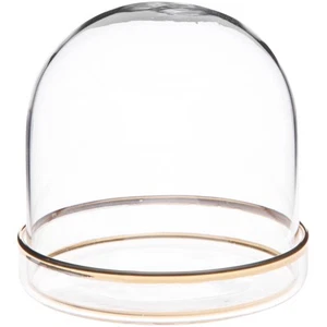 Plymor 3" x 3" Glass Display Dome Cloche w/ Gold Rim (Gold Rim Glass Tray Base) - Picture 1 of 1
