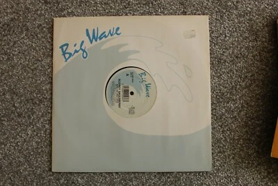 RODNEY SAULSBERRY - 'Who Do You Love' Original 1988 12 Inch Single Vinyl Record Foto 1 de 3