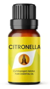 Citronella ätherisches Öl - reines natürliches Aromatherapieöl - 10ml - Bild 1 von 4