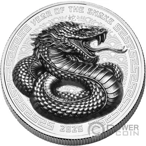 SNAKE anno lunare FDC opaco anticato 1 oz moneta argento 2$ Fiji 2025 - Foto 1 di 2