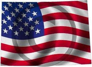 Pegatina de bandera estadounidense ondulada ondeando Colorado CO Shape Us Estados Unidos 4" x 6 - Imagen 1 de 1