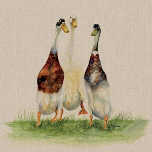 Jane Bannon - Dilly, Roly & Henry - Stampa su tela Wall Art 3 misure disponibili - Foto 1 di 1