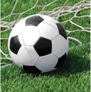 Soccer Party Supplies | Partyware, Tableware, Balloons, Favours & Much More! - Picture 1 of 23