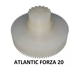 Engranaje de Nylon para Motor Cortafiambres Atlantic Forza 20 M. 18-595/20 - Imagen 1 de 11