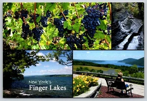 Postal Multivista de los Lagos Finger de Nueva York - Uvas de vino, paisajes - Imagen 1 de 2