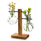 Plants Propagation Stations Hydroponic Plant Root Planter Vases Pot Home Decor