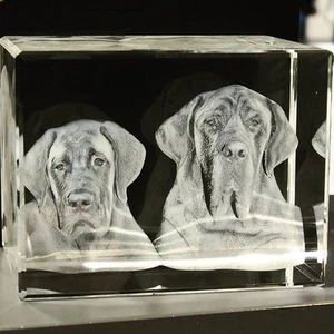 R100 3D Foto Würfel Dogge Persönlich Herrchen Hunde Weihnachten Partner Geschenk - Bild 1 von 5