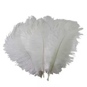 50 Pcs Real Natural 10-20CM Home Decor Ostrich Feathers Plume for Great Party... - Picture 1 of 1