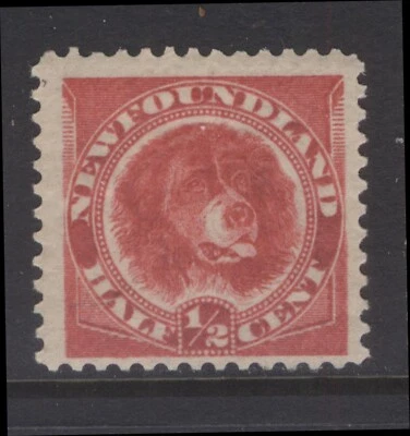 NEWFOUNDLAND 56a 1887 1/2c DEEP ROSE RED WORLD'S FIRST DOG STAMP MPH (#41) CV$45 - Image 1 of 2