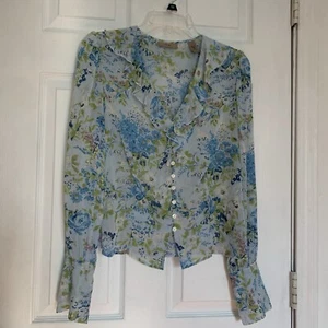 Vtg Blouse Womens 8 100% Silk Blue Floral V-Neck Long Sleeve Y2k 90s Semi Sheer - Picture 1 of 7