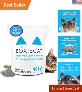 16 Pfund Boxie Geruchskontrolle Klumpknete Katzenstreu - Perfekt für Multi-Katzenhäuser - Bild 1 von 8