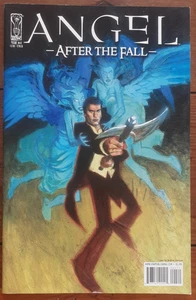 ANGEL: AFTER THE FALL #4, COVER B, IDW PUBLISHING, FEBRUARY 2008, FN/VF - Picture 1 of 2