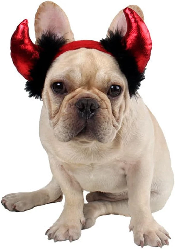 Halloween Mascota Disfraz Perro Diablo Cuerno Diadema Gato Vestir Accesorios para Gato a Foto 1 de 4