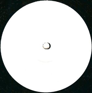 Dark Globe – Feed 12" House Vinyl Original + Shapeshifters Remix White Label