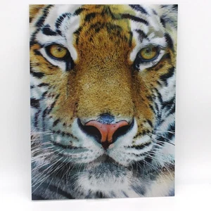 Póster lenticular 3D de Tigres parpadeo 2 imágenes impresión 12 x 16 pulgadas - Imagen 1 de 2