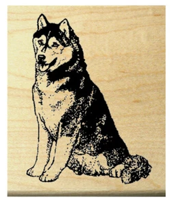 P29 Husky dog rubber stamp WM 1.6x1.2" deep etched  - Picture 1 of 1