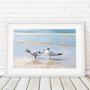 Birds on the Beach Photo, Siesta Key Photography Wall Art Beach House, Wildlife - Picture 1 of 6