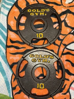 Placa de pesas Gold's Gym de 10 lb con barra de fácil agarre, agujero olímpico de 2", placa única Foto 1 de 4