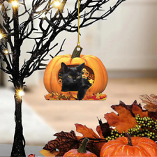 Funny Black Cat Pumpkin Car Ornament, Black Cat Happy Halloween Ornament