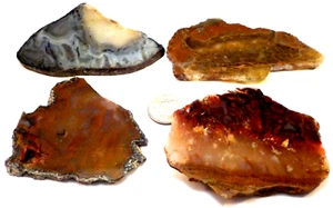 4 Awesome Agates with Inclusions 1st 4 Pictures Wet Total 9 Ounces #3117 - Picture 1 of 8