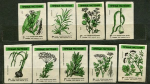 1985, FLORA, WÜRZIGE PFLANZEN, SET 9 ALTE RUSSISCHE STREICHHOLZSCHACHTEL ETIKETTEN - Bild 1 von 1
