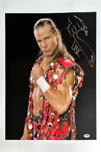 Shawn Michaels Signed 18x24 WWE WWF Wrestling Photo 'HBK' PSA 8A33697 - Picture 1 of 2