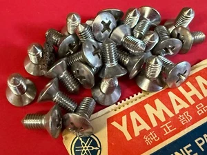 YAMAHA • NOS Llanta Faro Cabeza Ovalada Tornillo DT100 DT125 DT175 DT250 DT400 TT500 - Imagen 1 de 1