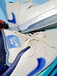 CT6688-200 Nike SB Dunk Low Light Cream Truck It White Blue Black - Picture 1 of 8