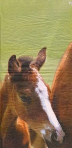 Hermosas Servilletas: LITTLE HORSE (949) - Imagen 1 de 1