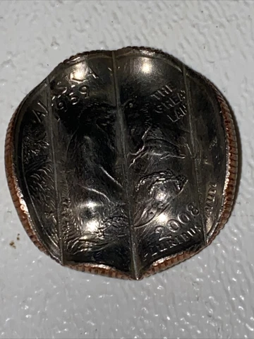 2008 Alaska Quarter Error Waffled Cover