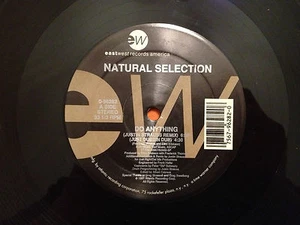 NATURAL SELECTION - Do Anything - 1991 US 12" Vinyl 5 mixes - NMINT - Picture 1 of 5