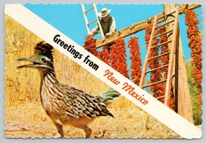 Vintage Greetings from New Mexico Chile Peppers Roadrunner 4x6 Souvenir Postcard - Picture 1 of 2