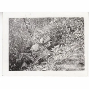 s/w Foto 1967 Munitionsdosen aus Koreakrieg vor 15 Jahren aufgenommen 1967 Original - Bild 1 von 2
