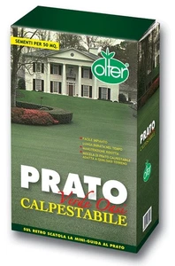 Prato Verde Oasi Calpestabile 1 Kg OLTER - Foto 1 di 1