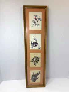 "De colección Ray Harm Cuatro Mini Pájaros Variedad Impresiones Profesional Enmarcado 24x6""" - Imagen 1 de 9