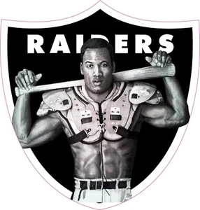 Jackson Raiders Inspired Full Size Football Helmet Decals - Picture 1 of 2