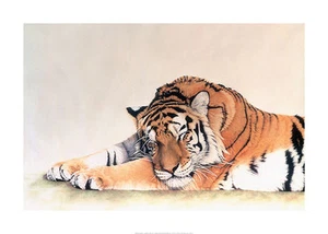 ART PRINT Sleeping Tiger Jan Henderson - Picture 1 of 1